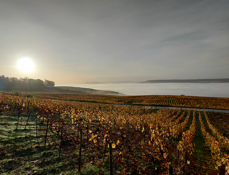 Champagne Vincent Bernard Tours sur Marne